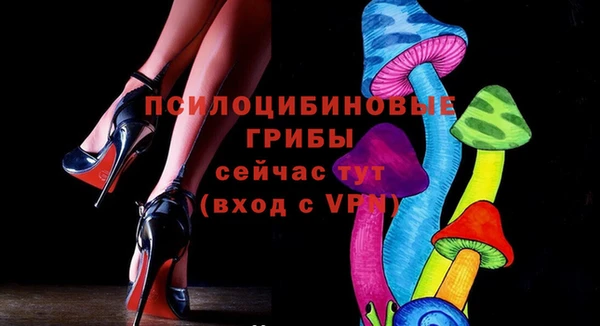 прущий лед Вязьма