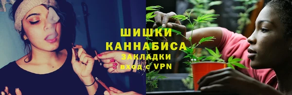прущий лед Вязьма