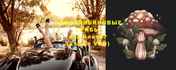 прущий лед Вязьма