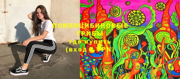 прущий лед Вязьма