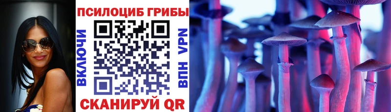 где найти наркотики  Липки  блэк спрут ТОР  Псилоцибиновые грибы GOLDEN TEACHER 